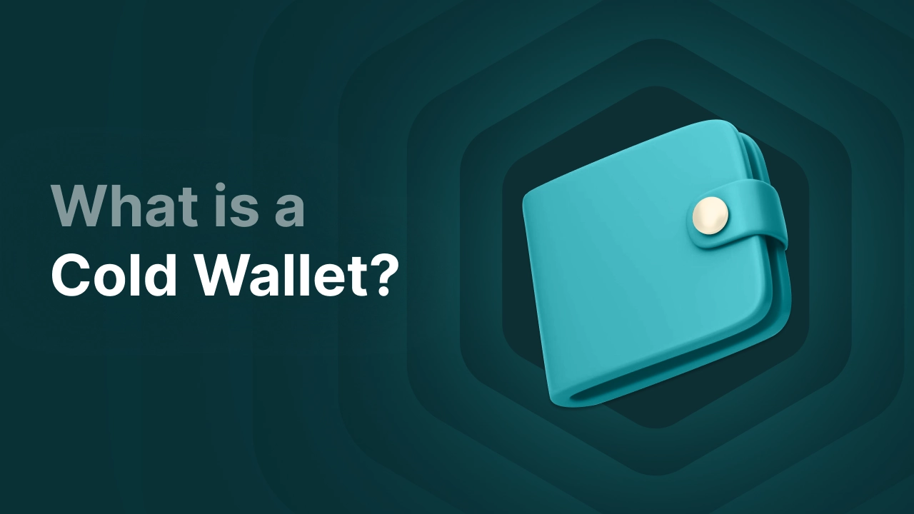 What_is_a_cold_wallet